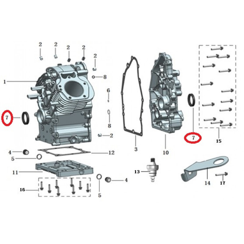 Сальник колінвала 60х45х9 2V90F